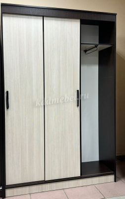 Шкаф-купе Агат (Дуб венге/Сосна лоредо)