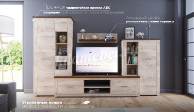 Гостиная Мэдисон (Дуб эндгрейн/Дуб экспрессив бронзовый)