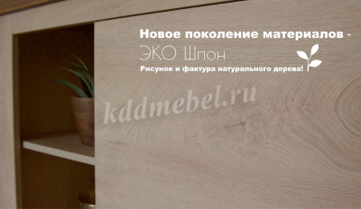 Гостиная Мэдисон (Дуб эндгрейн/Дуб экспрессив бронзовый)