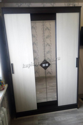 Шкаф-купе Агат (Дуб венге/Сосна лоредо)