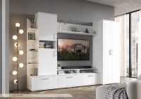 Денвер белый